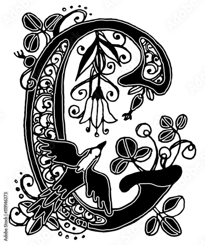 Letter C.Drop cap with floral decor elements of plants, berries.Graphics vector illustration print pattern for wedding monogram on invitation cards, initials, logo.