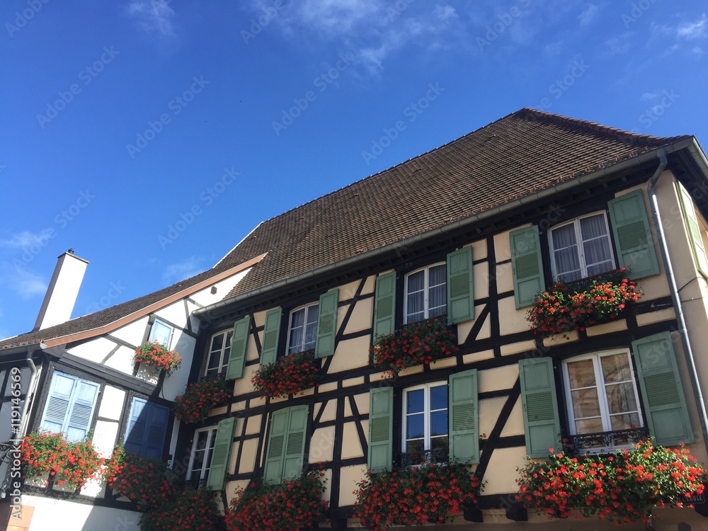 Casa alsaziana con imposte verdi e fiori rossi, Obernai, Francia