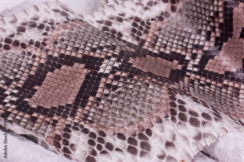 Python snakeskin leather background, snake skin, texture, animal, reptile Python snakeskin leather background, snake skin, texture, animal, reptile