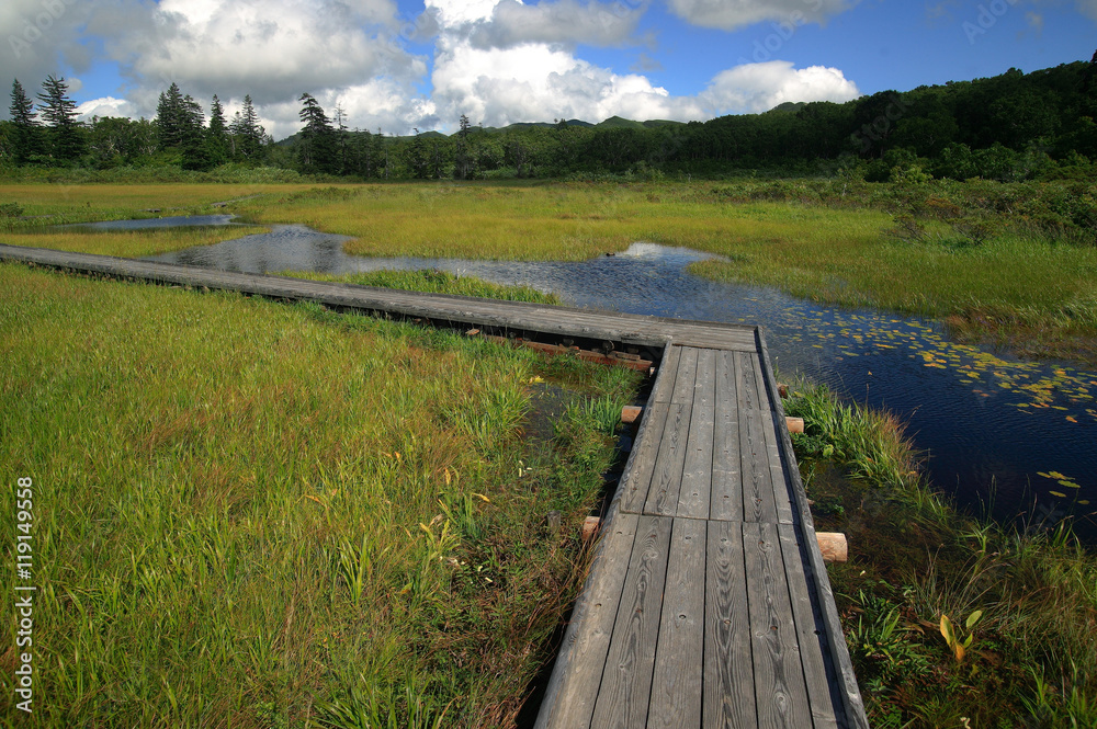 北海道　湿原の遊歩道
