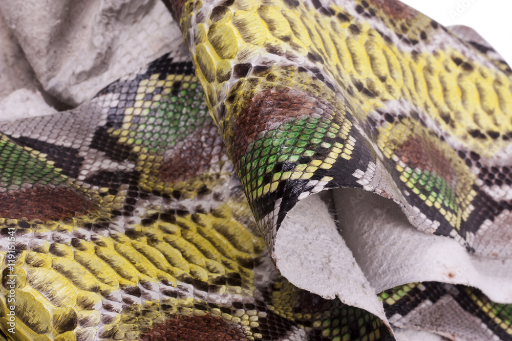 Python snakeskin leather background, snake skin, texture, animal, reptile Python snakeskin leather background, snake skin, texture, animal, reptile
