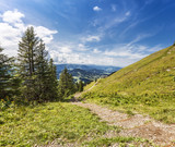 Panorama View from the Way to the Summit Nagelfluhkette, Oberstaufen, Allgäu, Alps, Germany
