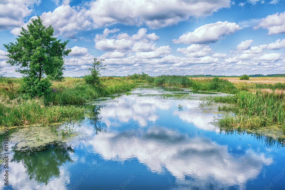 Landscape with river, trees and clouds in the sky.