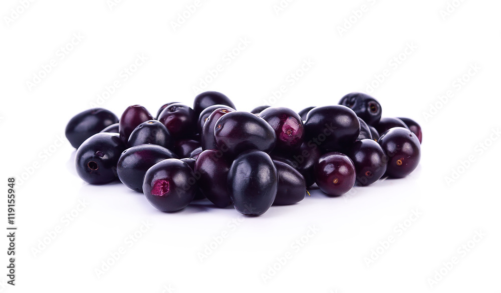 Jambolan plum or Java plum on white background. Jambolan plum or Java plum on white background.