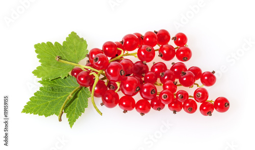 Red currant with green leaves isolated on white background