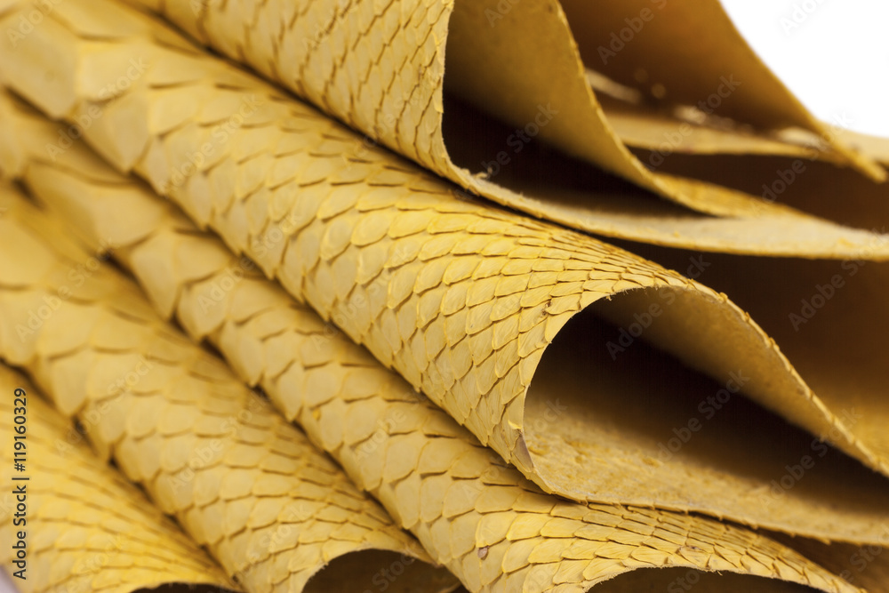 Python snakeskin leather background, snake skin, texture, animal