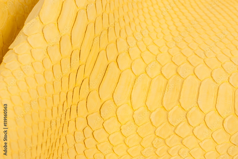 Python snakeskin leather background, snake skin, texture, animal