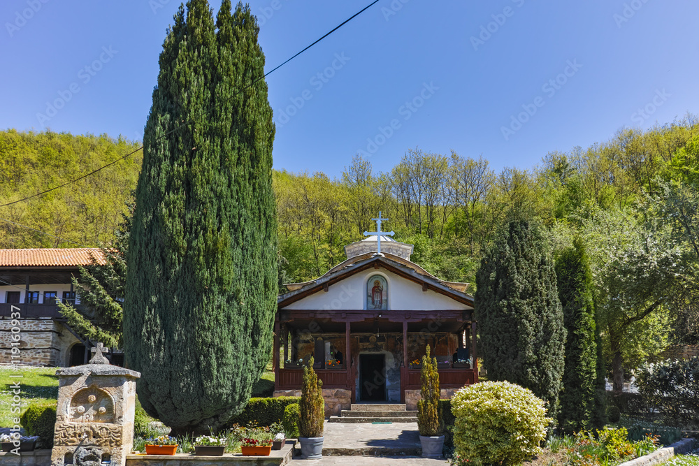 Fototapeta premium Spring Panorama of Temski monastery St. George, Pirot Region, Republic of Serbia