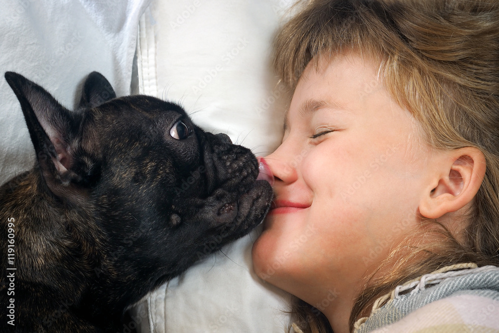 Dog wakes owner kiss, licking the face, nose. Concept Good morning