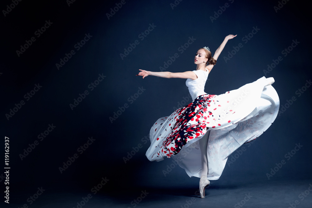 Obraz premium Young ballerina in a beautiful dress is dancing in a dark photostudio
