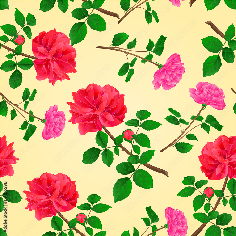 custom made wallpaper toronto digitalSeamless texture twig red and pink roses  with leaves and bud vector illustration
