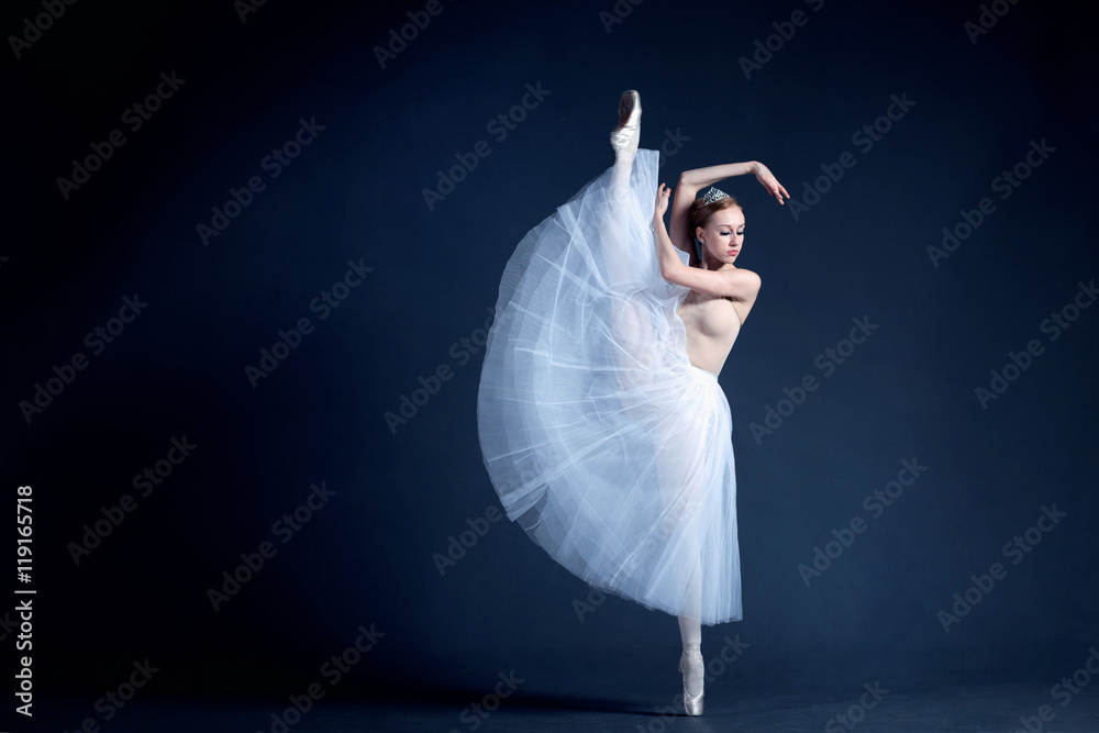 Obraz premium Young ballerina in a beautiful dress is dancing in a dark photostudio