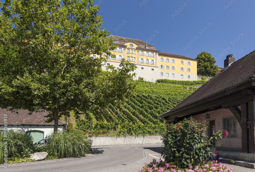 Vineyard at Meersburg, beautiful Town; Bodensee