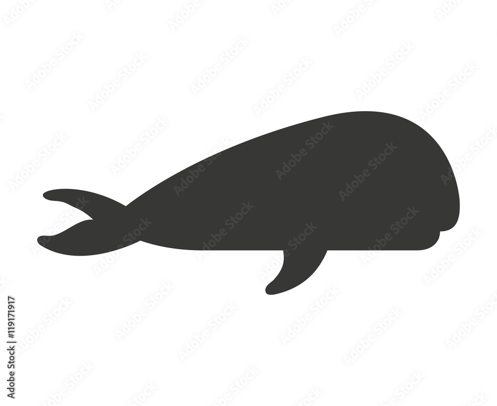 whale fish isolated icon whale fish isolated icon