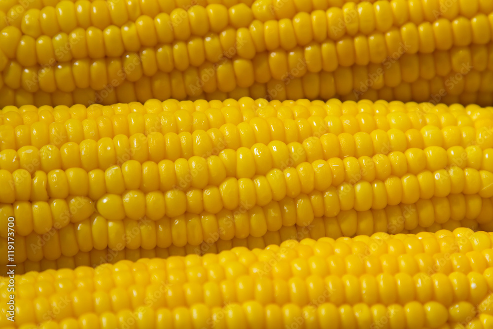 Tasty boiled corn on a plate sunflower - macro Tasty boiled corn on a plate sunflower - macro