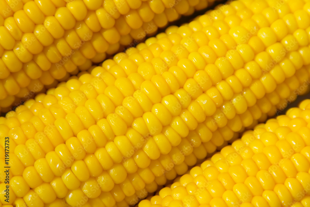 Tasty boiled corn sunflower diagonally - macro Tasty boiled corn sunflower diagonally - macro