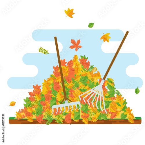 rake collecting fallen leaves