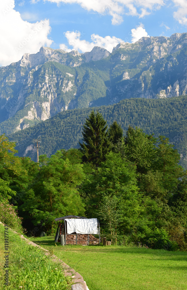 Alpine landscape with forests, mountains, blue sky and farm buildings for wood