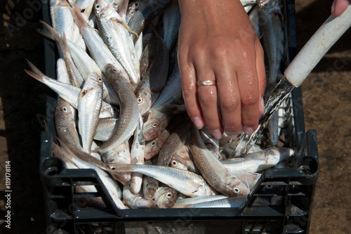 Women wash their hands goatfish