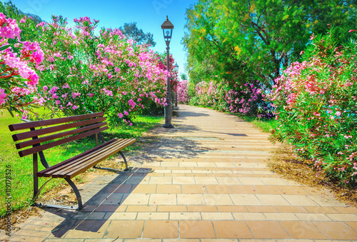 Fototapeta Naklejka Na Ścianę i Meble -  City park