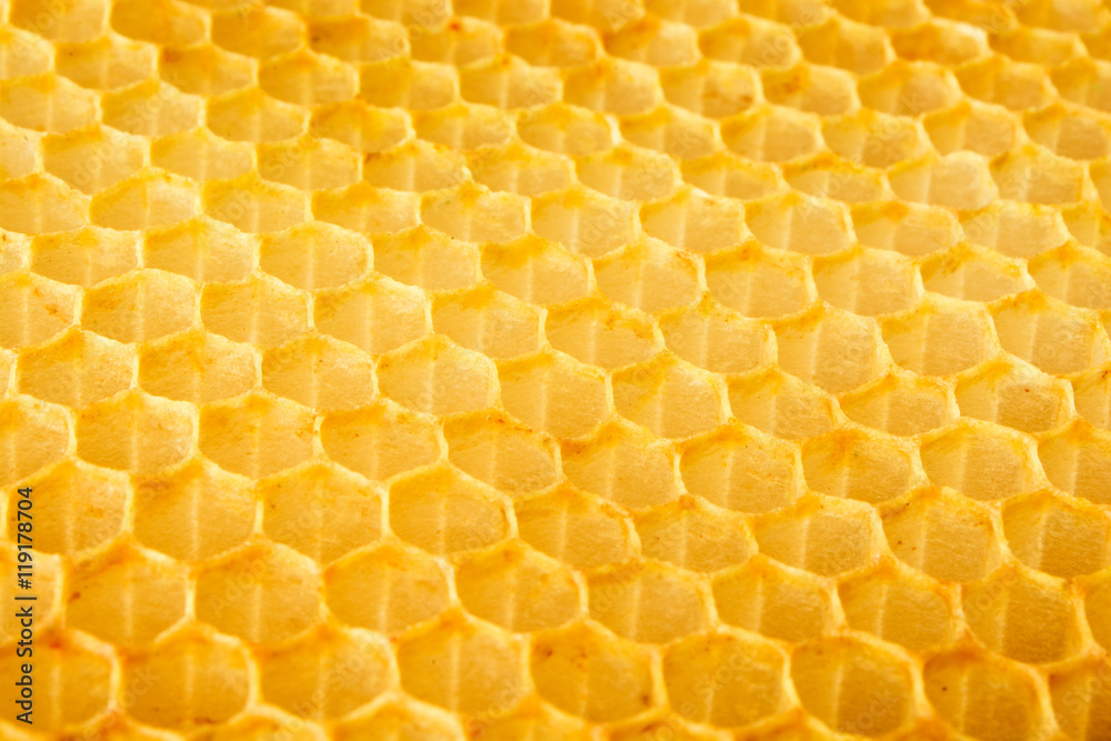 Natural honeycomb background. Close-up.