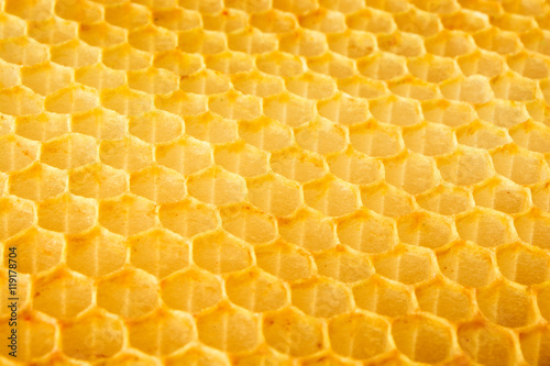 Natural honeycomb background. Close-up.