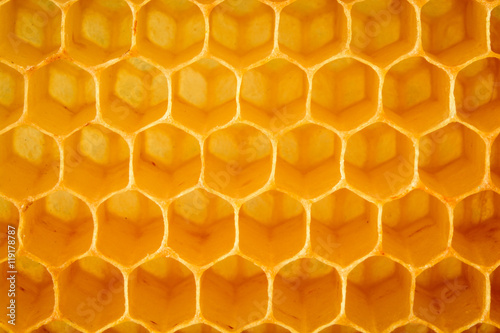 Natural honeycomb background. Close-up.