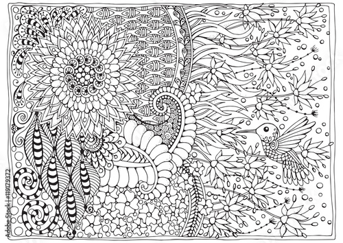 Hand drawn backdrop. Coloring book  page for adult and older children. Black and white abstract floral pattern with bird hummingbird. Vector illustration. 