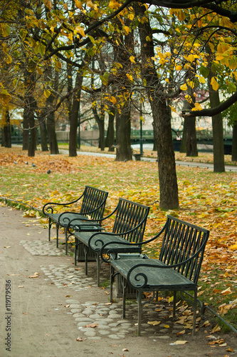 Deep autumn in park, trees and yellow leafs © Morgenstjerne