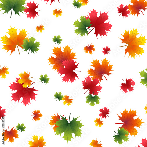 Autumn yellowed maple leaf on a white background