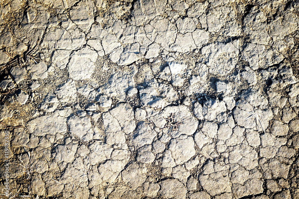 Texture of grey withered earth with cracks Texture of grey withered earth with cracks