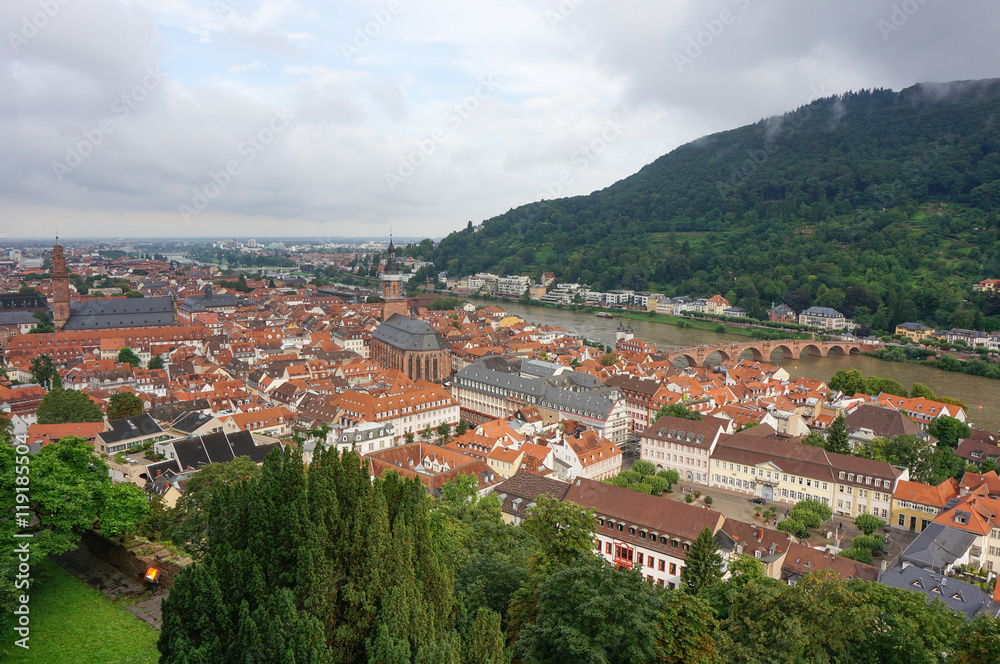 Heidelberg aldstadt view