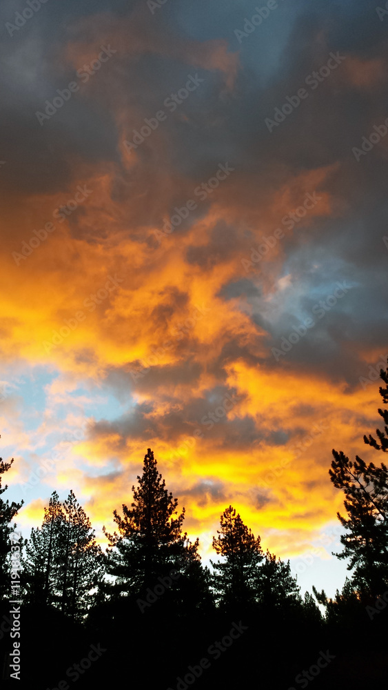 Vertical Firey Sky/Orange colored clouds at sunset