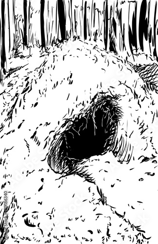 Outlined Bear Den in Forest