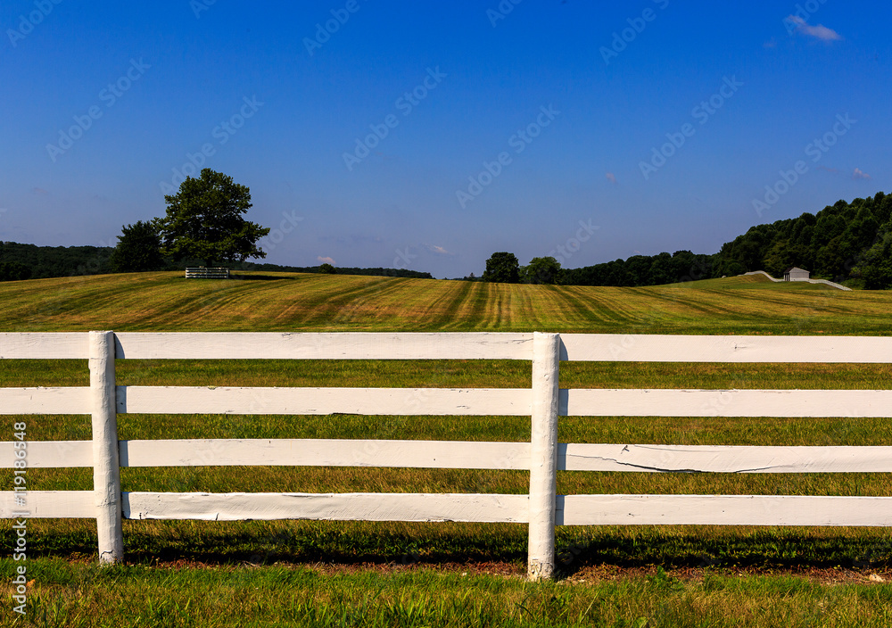 Farm in Maryland with freshly painted white fence Farm in Maryland with freshly painted white fence