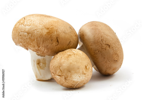 fresh champignons brown version isolated