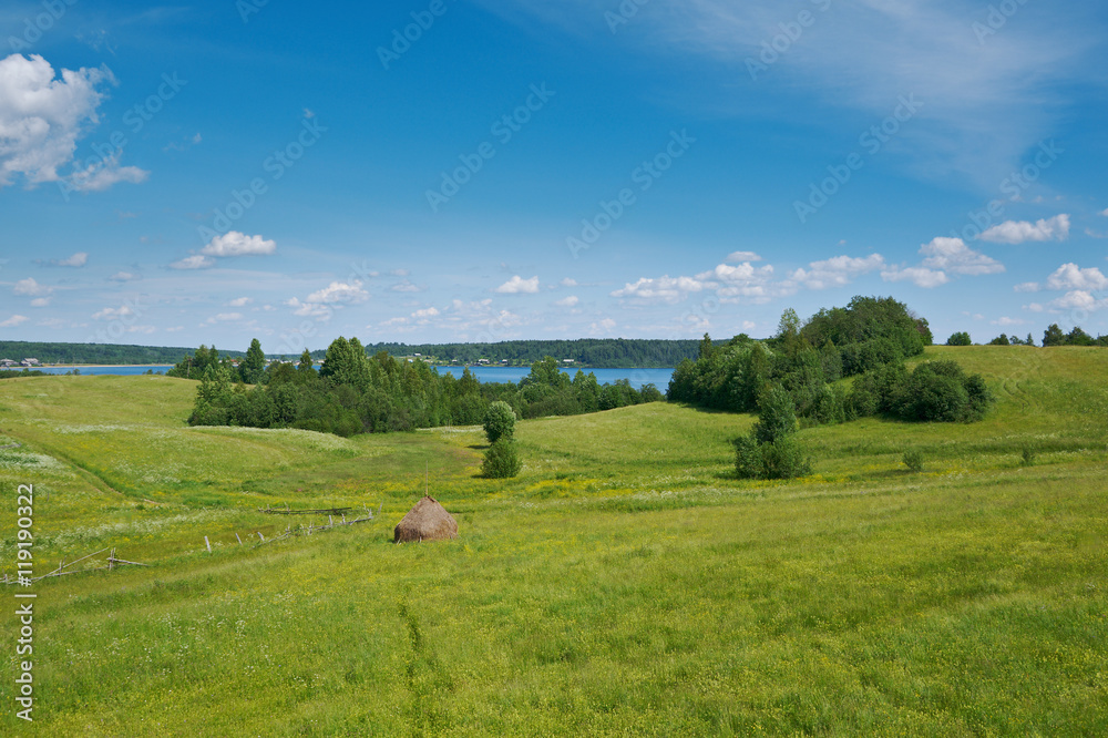 Russian  summer meadow