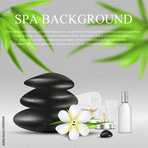 Vector realistic illustration of Spa