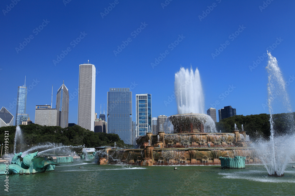 Obraz premium Chicago Loop