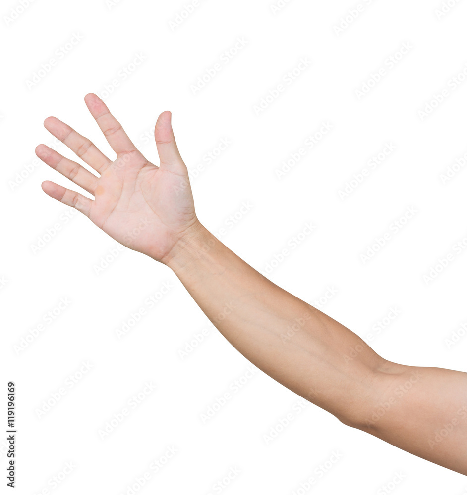 Foto Man hand isolated on white background, clipping path