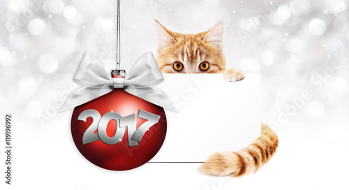 2017 text ginger cat with card and red christmas ball with ribbo photo