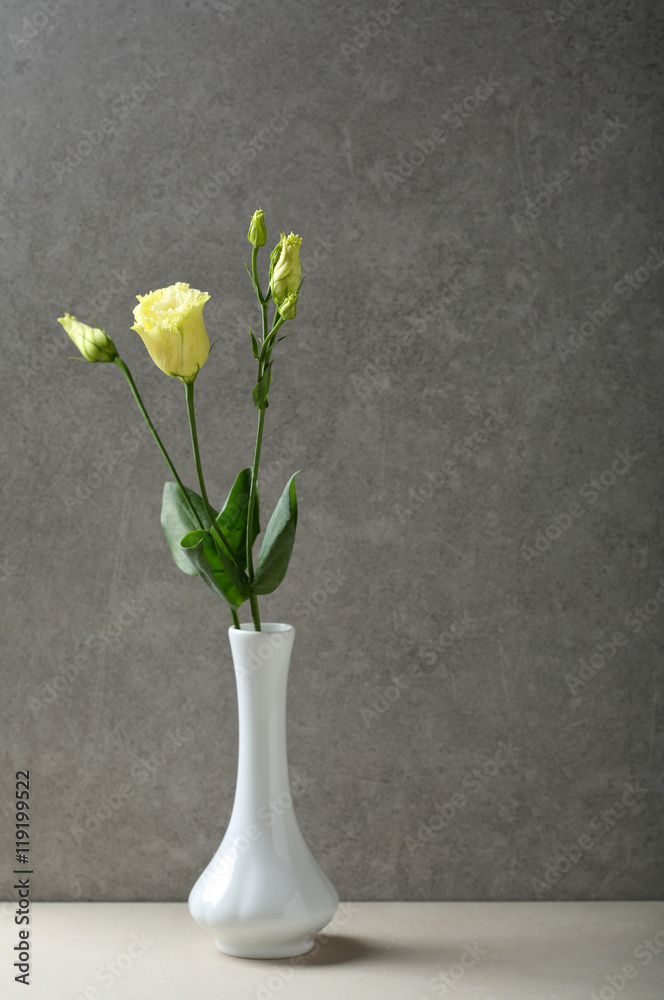 One flowers in white vase