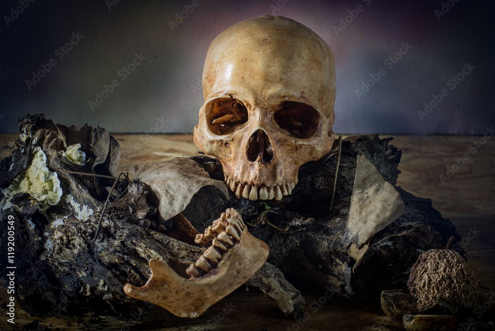 Skull on weathered wood in Halloween night, still life style - obrazy, fototapety, plakaty 