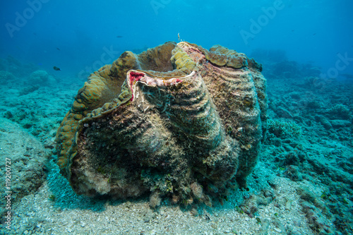 500_F_119200727_m5aTLXCPWwFIpS