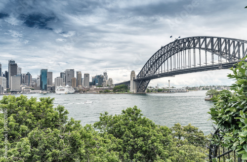 Sydney Harbour Bridge framed by vegetation - New South Wales - A © jovannig