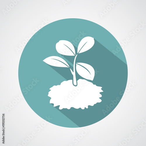 sprout grain icon