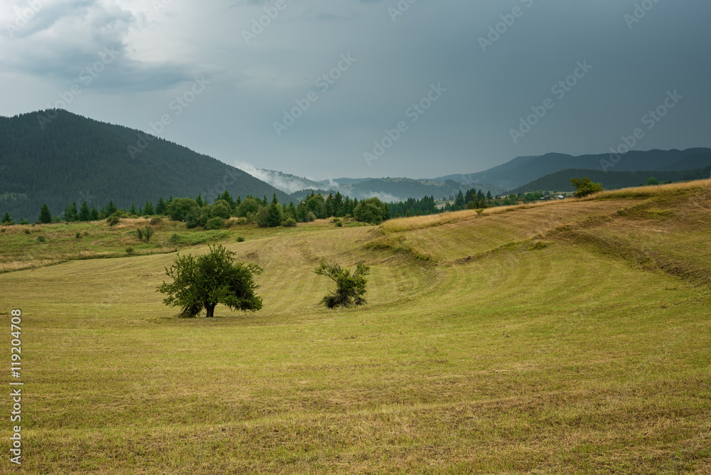 Gela village in the summer, Rhodope mountains, Bulgaria