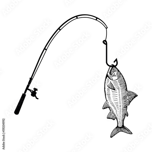 Photography fish on the hook vector