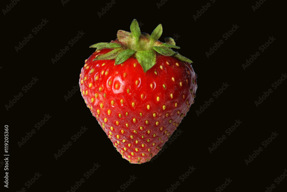 Truskawka strawberry - obrazy, fototapety, plakaty 