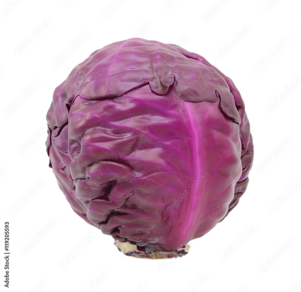 Whole raw red cabbage Whole raw red cabbage
